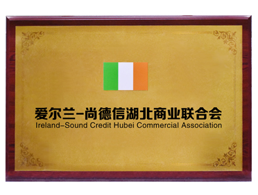 爱尔兰-尚德信湖北商业联合会