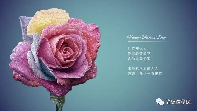 微信图片_20180512110315.jpg 微信图片_20180512110315.jpg