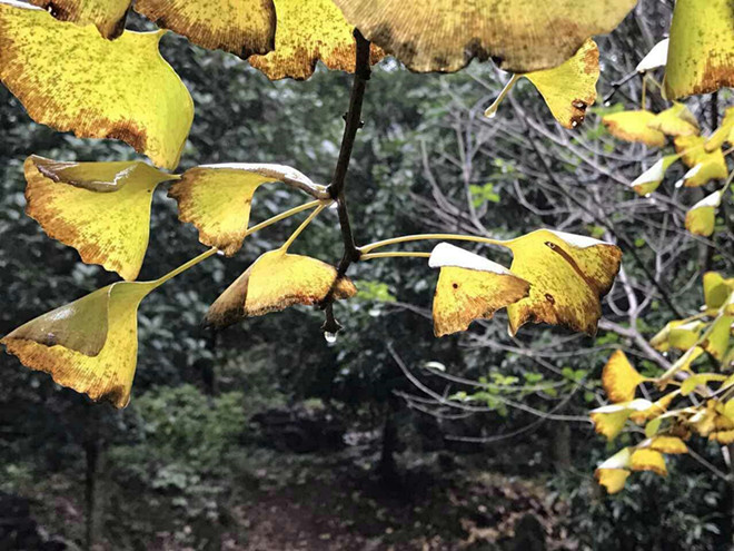 647300489875290699_副本.jpg 647300489875290699_副本.jpg