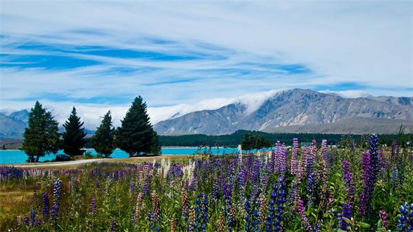 风景1.jpg 风景1.jpg