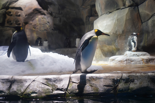 DSC09666.JPG DSC09666.JPG