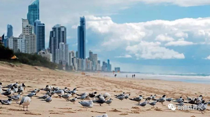 西澳也关停！移民，真的经不起观望！